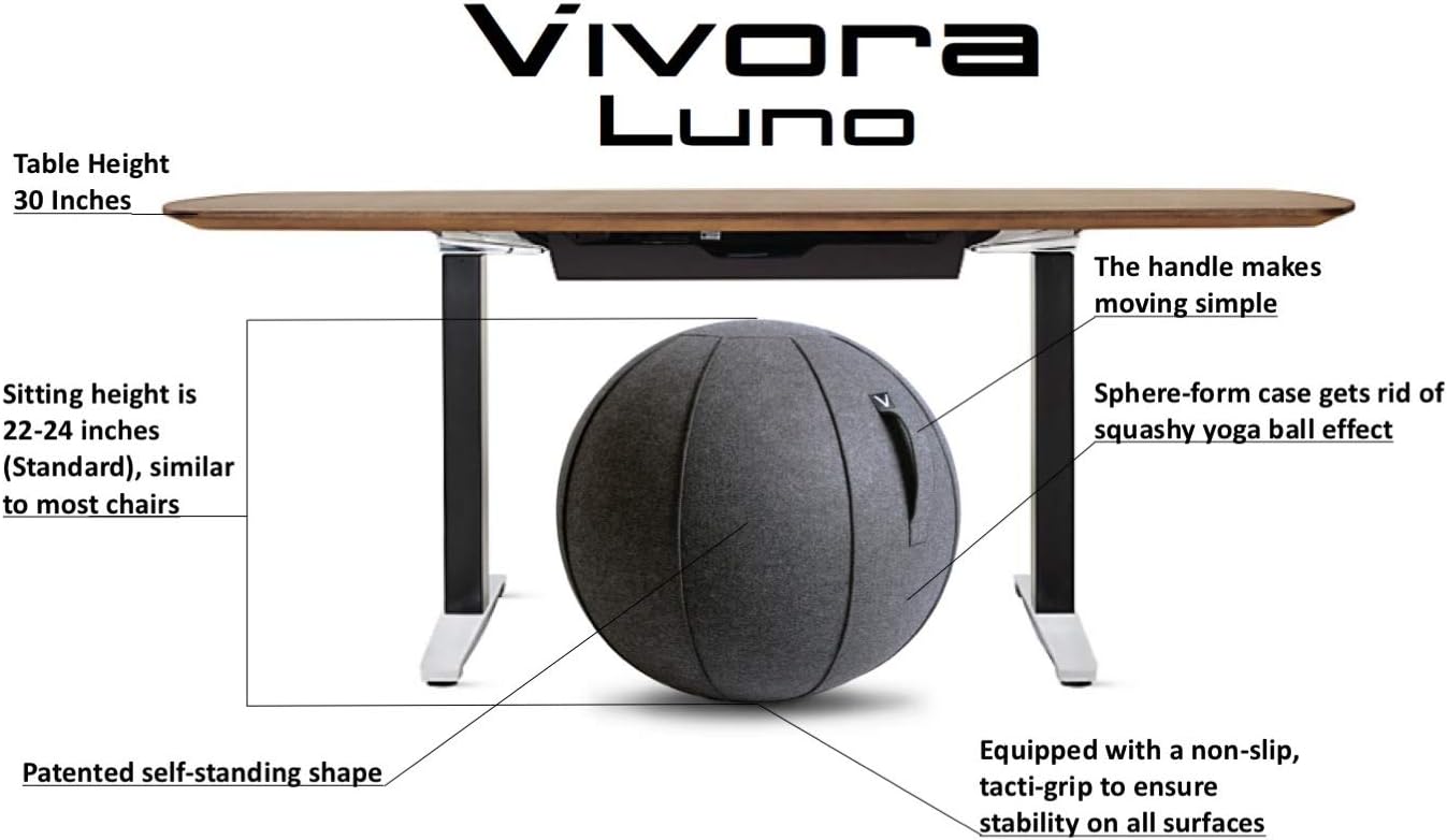 Vivora Luno Premium Ergonomic Sitting Ball Chair, Felt, Standard Size (22 to 24 inches), for Home Offices, Balance Training, Yoga Ball, Posture Improvement